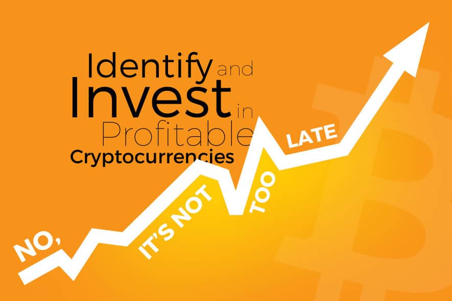 Crypto Investment