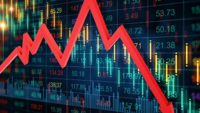 What Is the Stock Market and How Does It Work?